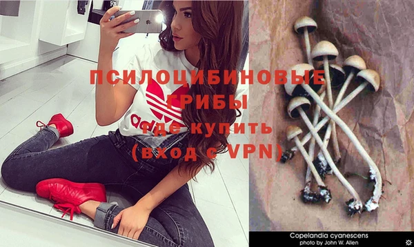 mdpv Козловка