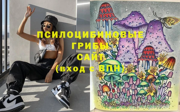 mdpv Козловка