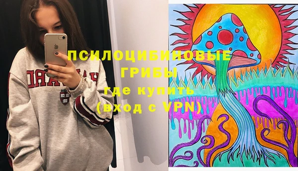 шишки Киреевск