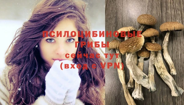 MESCALINE Кинешма